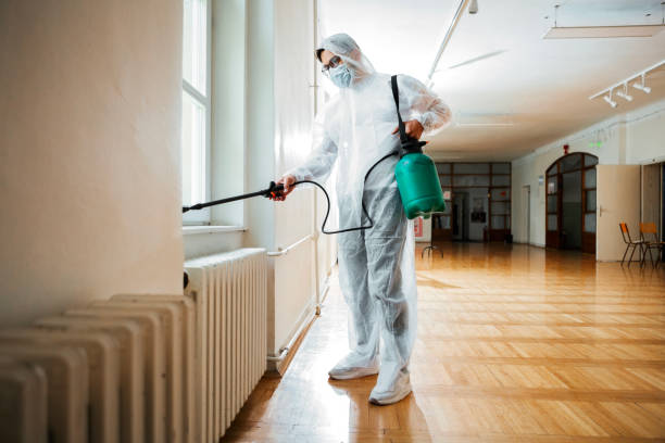 Best Indoor Pest Control  in Dorr, MI